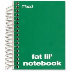Mead Fat Lil Wirebound Notebook 4