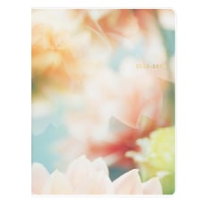 Blue Sky Monthly Academic Planner 11