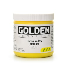 Golden Heavy Body Acrylic Paint 16