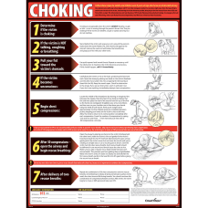ComplyRight Choking Poster 18 x 24