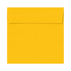 LUX Square Envelopes 6 12 x