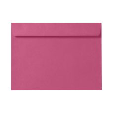 LUX Booklet 6 x 9 Envelopes