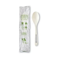 World Centric TPLA Compostable Cutlery Spoon