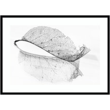 Amanti Art The Old Leaf by