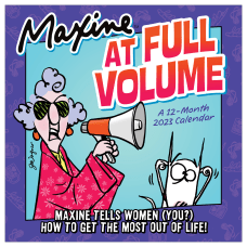 TF Publishing Humor Monthly Wall Calendar