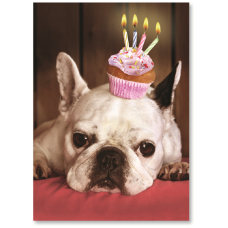 Viabella Fun Birthday Greeting Card With
