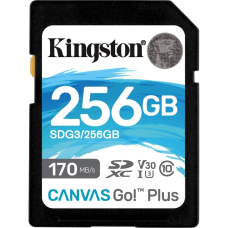Kingston Canvas Go Plus SDG3 256