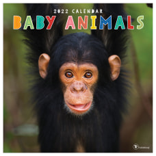 TF Publishing Animals Monthly Wall Calendar