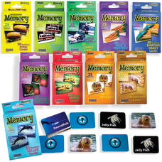 Stages Learning Materials Photographic Memory Matching