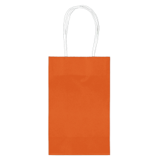 Amscan Paper Solid Cub Gift Bags