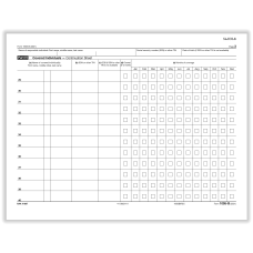 ComplyRight 1095 B Tax Forms Continuation