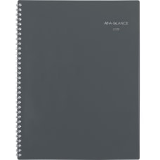 AT A GLANCE DayMinder 2023 RY