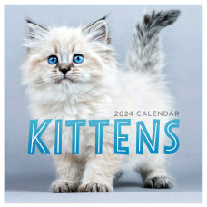 2024 TF Publishing Animals Mini Calendar