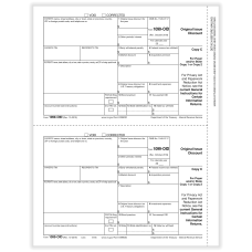 ComplyRight 1099 PATR Tax Forms 3