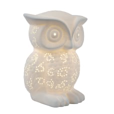 Simple Designs Porcelain Wise Owl Shaped