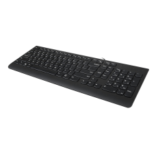 Lenovo 300 USB Keyboard Black GX30M39655