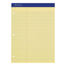 Ampad Perforated 3 Hole Punched Dual