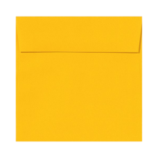 LUX Square Envelopes 5 12 x