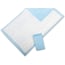 Protection Plus Disposable Underpads 23 x 36 Light Blue Pack Of 25 ...